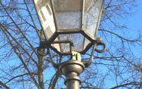 copyright Jutta Goedicke