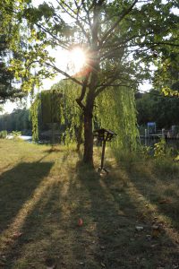 Landzunge am Hafen Steglitz