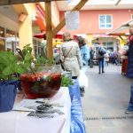 Frühjahrsmarkt_MeinLiLa©J.Goedicke