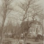 Siemens_Corrensvilla Bild Großbaumverpflanzung