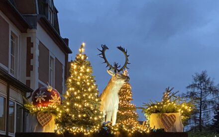 Weihnachtskiez to go in Lichterfelde-Ost